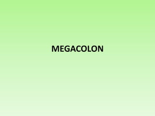 MEGACOLON
 