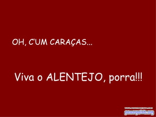 OH, C’UM CARAÇAS... Viva o ALENTEJO, porra!!!   
