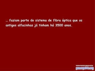 …  faziam parte do sistema de fibra óptica que os antigos alfacinhas já tinham há 3500 anos.   