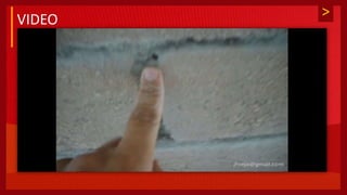 >
VIDEO
 
