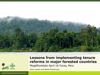 Lessons from implementing tenure
reforms in major forested countries
Megaflorestais April 16 Yucay, Peru
Anne Larson and Iliana Monterroso
 