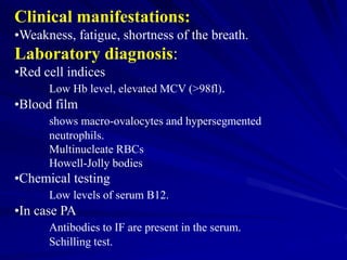 Clinical manifestations:
•Weakness, fatigue, shortness of the breath.
Laboratory diagnosis:
•Red cell indices
Low Hb level, elevated MCV (>98fl).
•Blood film
shows macro-ovalocytes and hypersegmented
neutrophils.
Multinucleate RBCs
Howell-Jolly bodies
•Chemical testing
Low levels of serum B12.
•In case PA
Antibodies to IF are present in the serum.
Schilling test.
 