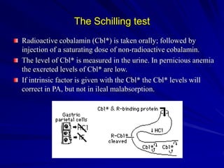 The Schilling test
Radioactive cobalamin (Cbl*) is taken orally; followed by
injection of a saturating dose of non-radioactive cobalamin.
The level of Cbl* is measured in the urine. In pernicious anemia
the excreted levels of Cbl* are low.
If intrinsic factor is given with the Cbl* the Cbl* levels will
correct in PA, but not in ileal malabsorption.
 