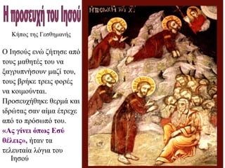 Κήπος της Γεσθημανής
Ο Ιησούς ενώ ζήτησε από
τους μαθητές του να
ξαγρυπνήσουν μαζί του,
τους βρήκε τρεις φορές
να κοιμούνται.
Προσευχήθηκε θερμά και
ιδρώτας σαν αίμα έτρεχε
από το πρόσωπό του.
«Ας γίνει όπως Εσύ
θέλεις», ήταν τα
τελευταία λόγια του
Ιησού
 