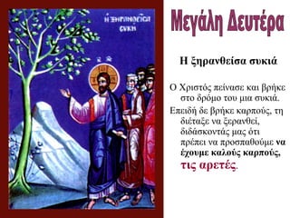 Η ξηρανθείσα συκιά
Ο Χριστός πείνασε και βρήκε
στο δρόμο του μια συκιά.
Επειδή δε βρήκε καρπούς, τη
διέταξε να ξερανθεί,
διδάσκοντάς μας ότι
πρέπει να προσπαθούμε να
έχουμε καλούς καρπούς,
τις αρετές.
 