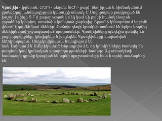 Կրոմլեխ - (բրետոն. crom - սեղան, lech - քար), նեոլիթյան և հիմնականում
բրոնզեդարյանմեգալիթյան կառույցի տեսակ է: Սովորաբար բաղկացած են
խոշոր ( մինչև 5-7 մ բարձրության), մեկ կամ մի քանի համակենտրոն
շրջաններ կազմող՝ առանձին կանգնած քարերից: Շրջանի կենտրոնում երբեմն
լինում է դոլմեն կամ մենհիր: Հաճախ դեպի կրոմլեխ տանում են երկու կողմից
մենհիրներով շրջապատված պողոտաներ: Կրոմլեխները պեղելիս գտնվել են
քարե գործիքներ, կմախքներ և խեցեղեն: Կրոմլեխները տարածված
ենԵվրոպայում, Անդրկովկասում, հանդիպում են
նաև Ասիայում և Ամերիկայում: Ենթադրվում է, որ կրոմլեխները ծառայել են
թաղման կամ կրոնական արարողությունների համար: Այլ տեսակետի
համաձայն դրանք կապված են արևի պաշտամունքի հետ և արևի տաճարներ
են:
 