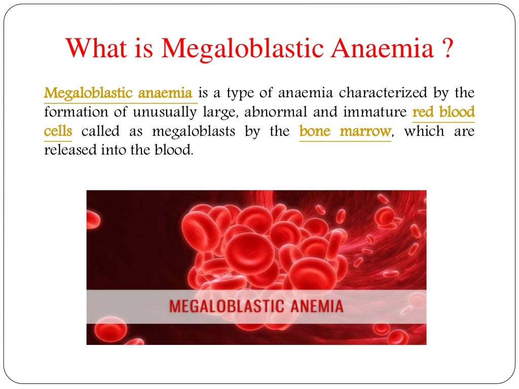 Megaloblastic Anaemia Symptoms, causes, diagnosis, treatment and pre…