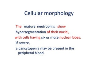 Cellular morphology
The mature neutrophils show
hypersegmentation of their nuclei,
with cells having six or more nuclear lobes.
If severe,
a pancytopenia may be present in the
peripheral blood.
 