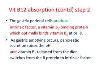 Vit B12 absorption (contd) step 2
• The gastric parietal cells produce
intrinsic factor, a vitamin B12-binding protein
which optimally binds vitamin B12 at pH 8.
• As gastric emptying occurs, pancreatic
secretion raises the pH
and vitamin B12 released from the diet
switches from the R protein to intrinsic factor.
 