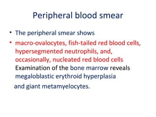 Peripheral blood smear
• The peripheral smear shows
• macro-ovalocytes, fish-tailed red blood cells,
hypersegmented neutrophils, and,
occasionally, nucleated red blood cells
Examination of the bone marrow reveals
megaloblastic erythroid hyperplasia
and giant metamyelocytes.
 
