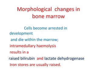Morphological changes in
bone marrow
Cells become arrested in
development
and die within the marrow;
intramedullary haemolysis
results in a
raised bilirubin and lactate dehydrogenase
Iron stores are usually raised.
 