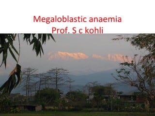 Megaloblastic anaemia
Prof. S c kohli
 