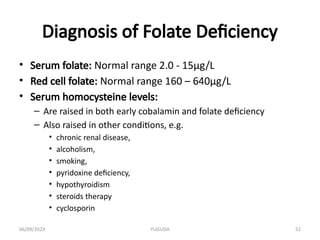 Comprehensive Overview of Megaloblastic Anaemia: Causes, Biochemistry ...