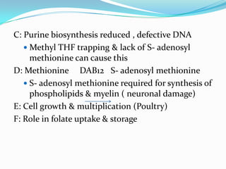C: Purine biosynthesis reduced , defective DNA
 Methyl THF trapping & lack of S- adenosyl
methionine can cause this
D: Methionine DAB12 S- adenosyl methionine
 S- adenosyl methionine required for synthesis of
phospholipids & myelin ( neuronal damage)
E: Cell growth & multiplication (Poultry)
F: Role in folate uptake & storage
 