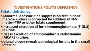 Megaloblastic Anemia by Dr. Sookun Rajeev Kumar | PPTX