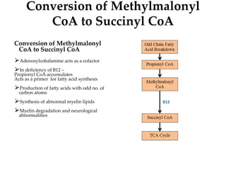 Conversion of Methylmalonyl
CoA to Succinyl CoA
Conversion of Methylmalonyl
CoA to Succinyl CoA
⮚Adenosylcobalamine acts as a cofactor
⮚In deficiency of B12 –
Propionyl CoA accumulates
Acts as a primer for fatty acid synthesis
⮚Production of fatty acids with odd no. of
carbon atoms
⮚Synthesis of abnormal myelin lipids
⮚Myelin degradation and neurological
abnormalities
 