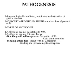 PATHOGENESIS
⮚Immunologically mediated, autoimmune destruction of
gastric mucosa
⮚CHRONIC ATROPHIC GASTRITIS – marked loss of parietal
cells
⮚TYPES OF ANTIBODIES
1.Antibodies against Parietal cells -90%
2.Antibodies against Intrinsic Factor
-Blocking antibodies – prevent formation of IF-
Cobalamin complex
-Binding antibodies – React with IF-Cobalamin
binding site ,preventing its absorption
 