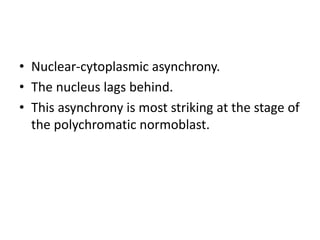 • Nuclear-cytoplasmic asynchrony.
• The nucleus lags behind.
• This asynchrony is most striking at the stage of
the polychromatic normoblast.
 