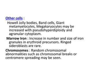 Other cells :
Howell Jolly bodies, Band cells, Giant
metamyelocytes, Megakaryocytes may be
increased with pseudohyperdiploidy and
agranular cytoplasm.
Marrow Iron : Increase in number and size of iron
granules in erythroid precursors. Ringed
sideroblasts are rare.
Chromosomes : Random chromosomal
abnormalities such as chromosomal breaks or
centromere spreading may be seen.
 