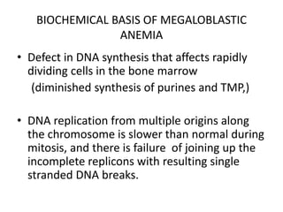BIOCHEMICAL BASIS OF MEGALOBLASTIC
ANEMIA
• Defect in DNA synthesis that affects rapidly
dividing cells in the bone marrow
(diminished synthesis of purines and TMP,)
• DNA replication from multiple origins along
the chromosome is slower than normal during
mitosis, and there is failure of joining up the
incomplete replicons with resulting single
stranded DNA breaks.
 