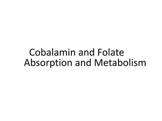 Cobalamin and Folate
Absorption and Metabolism
 