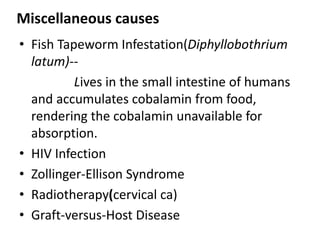 • Fish Tapeworm Infestation(Diphyllobothrium
latum)--
Lives in the small intestine of humans
and accumulates cobalamin from food,
rendering the cobalamin unavailable for
absorption.
• HIV Infection
• Zollinger-Ellison Syndrome
• Radiotherapy(cervical ca)
• Graft-versus-Host Disease
Miscellaneous causes
 