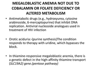 MEGALOBLASTIC ANEMIA NOT DUE TO
COBALAMIN OR FOLATE DEFICIENCY OR
ALTERED METABOLISM
• Antimetabolic drugs (e.g., hydroxyurea, cytosine
arabinoside, 6-mercaptopurine) that inhibit DNA
replication. Antiviral nucleoside analogues used in
treatment of HIV infection
• Orotic aciduria:-(purine synthesis)The condition
responds to therapy with uridine, which bypasses the
block.
• In thiamine-responsive megaloblastic anemia, there is
a genetic defect in the high-affinity thiamine transport
(SLC19A2) gene.(pentose pathway)
 