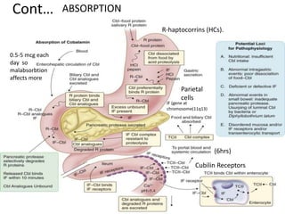 Cont… ABSORPTION
R-haptocorrins (HCs).
Parietal
cells
Cubilin Receptors
(6hrs)
0.5-5 mcg each
day so
malabsorbtion
affects more
IF (gene at
chromosome(11q13)
 