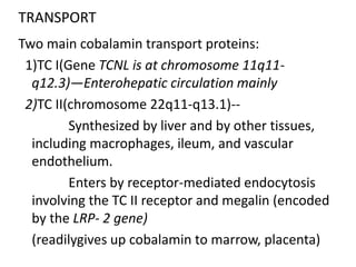 TRANSPORT
Two main cobalamin transport proteins:
1)TC I(Gene TCNL is at chromosome 11q11-
q12.3)—Enterohepatic circulation mainly
2)TC II(chromosome 22q11-q13.1)--
Synthesized by liver and by other tissues,
including macrophages, ileum, and vascular
endothelium.
Enters by receptor-mediated endocytosis
involving the TC II receptor and megalin (encoded
by the LRP- 2 gene)
(readilygives up cobalamin to marrow, placenta)
 