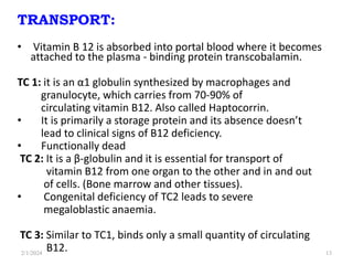 TRANSPORT:
• Vitamin B 12 is absorbed into portal blood where it becomes
attached to the plasma - binding protein transcobalamin.
TC 1: it is an α1 globulin synthesized by macrophages and
granulocyte, which carries from 70-90% of
circulating vitamin B12. Also called Haptocorrin.
• It is primarily a storage protein and its absence doesn’t
lead to clinical signs of B12 deficiency.
• Functionally dead
TC 2: It is a β-globulin and it is essential for transport of
vitamin B12 from one organ to the other and in and out
of cells. (Bone marrow and other tissues).
• Congenital deficiency of TC2 leads to severe
megaloblastic anaemia.
TC 3: Similar to TC1, binds only a small quantity of circulating
B12.
2/1/2024 13
 