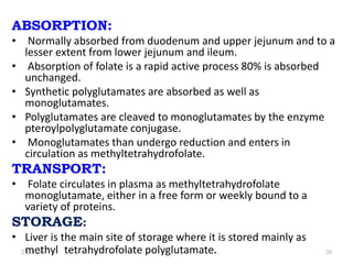 ABSORPTION:
• Normally absorbed from duodenum and upper jejunum and to a
lesser extent from lower jejunum and ileum.
• Absorption of folate is a rapid active process 80% is absorbed
unchanged.
• Synthetic polyglutamates are absorbed as well as
monoglutamates.
• Polyglutamates are cleaved to monoglutamates by the enzyme
pteroylpolyglutamate conjugase.
• Monoglutamates than undergo reduction and enters in
circulation as methyltetrahydrofolate.
TRANSPORT:
• Folate circulates in plasma as methyltetrahydrofolate
monoglutamate, either in a free form or weekly bound to a
variety of proteins.
STORAGE:
• Liver is the main site of storage where it is stored mainly as
methyl tetrahydrofolate polyglutamate.
2/1/2024 20
 