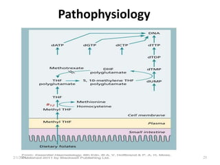 Pathophysiology
2/1/2024 25
 