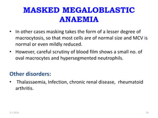 MASKED MEGALOBLASTIC
ANAEMIA
• In other cases masking takes the form of a lesser degree of
macrocytosis, so that most cells are of normal size and MCV is
normal or even mildly reduced.
• However, careful scrutiny of blood film shows a small no. of
oval macrocytes and hypersegmented neutrophils.
Other disorders:
• Thalassaemia, Infection, chronic renal disease, rheumatoid
arthritis.
2/1/2024 28
 