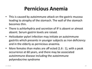 Pernicious Anemia
• This is caused by autoimmune attack on the gastric mucosa
leading to atrophy of the stomach. The wall of the stomach
becomes thin.
• There is achlorhydria and secretion of IF is absent or almost
absent. Serum gastrin levels are raised.
• Helicobater pylori infection may initiate an autoimmune
gastritis which presents in younger subjects as iron deficiency
and in the elderly as pernicious anaemia.
• More females than males are aff ected (1.6 : 1), with a peak
occurrence at 60 years, and there may be associated
autoimmune disease including the autoimmune
polyendocrine syndrome
2/1/2024 29
 