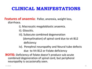 CLINICAL MANIFESTATIONS
Features of anaemia: Pallor, anorexia, weight loss,
diarrhoea.
i). Macrocytic megaloblastic anaemia.
ii). Glossitis.
iii). Subacute combined degeneration
(demyelination) of spinal cord due to vit B12
deficiency
iv). Perephral neuropathy and Neural tube defects
due to Vit B12 or Folate deficiency
NOTE: Deficiency of folate doesn’t produce sub-acute
combined degeneration of spinal cord, but peripheral
neuropathy is occasionally seen.
2/1/2024 30
 