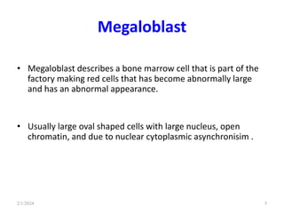 Megaloblast
• Megaloblast describes a bone marrow cell that is part of the
factory making red cells that has become abnormally large
and has an abnormal appearance.
• Usually large oval shaped cells with large nucleus, open
chromatin, and due to nuclear cytoplasmic asynchronisim .
2/1/2024 5
 