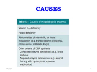 CAUSES
2/1/2024 7
 