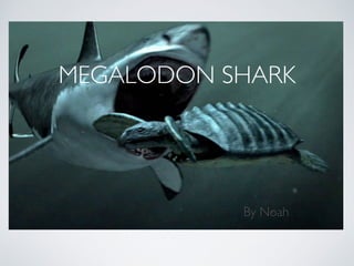 MEGALODON SHARK
By Noah
 
