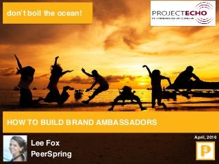 don’t boil the ocean!
HOW TO BUILD BRAND AMBASSADORS
Lee Fox
PeerSpring
April, 2016
 
