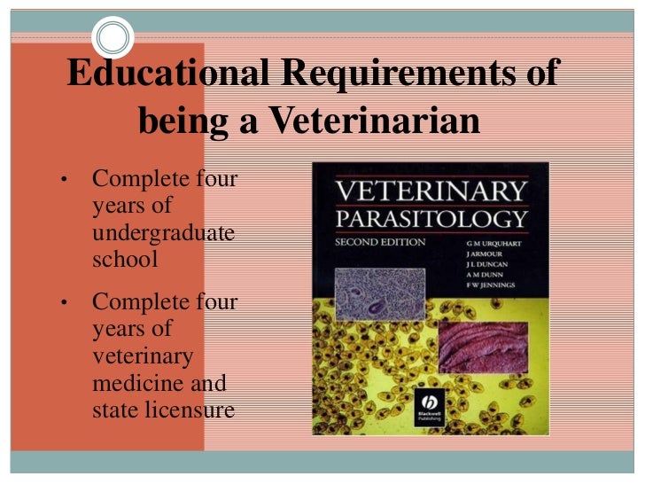 Megan "Being a Veterinarian"