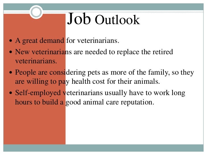 Megan "Being a Veterinarian"