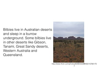 Bilbies live in Australian deserts
and sleep in a burrow
underground. Some bilbies live
in other deserts like Gibson,
Tanami, Great Sandy deserts,
Western Australia and
Queensland.
http://www.flickr.com/photos/60984332@N00/15780170
7
 