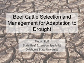 Beef Cattle Selection and
Management for Adaptation to
Drought
Megan Rolf
State Beef Extension Specialist
Oklahoma State University
 