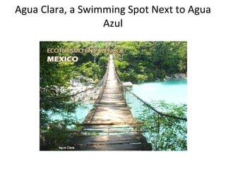 Agua Clara, a Swimming Spot Next to Agua Azul 