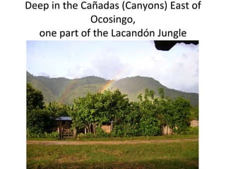 Deep in the Cañadas (Canyons) East of Ocosingo, one part of the Lacandón Jungle 