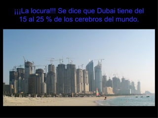 ¡¡¡La locura!!! Se dice que Dubai tiene del 15 al 25 % de los cerebros del mundo. 