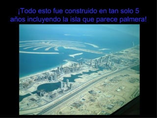¡Todo esto fue construido en tan solo 5 años incluyendo la isla que parece palmera! 