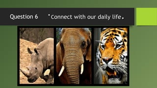Question 6 • CConnect with our daily lifeonnect with our daily life..
 