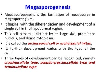 Megasporogenesis
• Megasporogenesis is the formation of megaspores in
megasporangium.
• It begins with the differentiation and development of a
single cell in the hypodermal region.
• This cell becomes distinct by its large size, prominent
nucleus, and dense cytoplasm.
• It is called the archesporial cell or archesporial initial.
• Its further development varies with the type of the
ovule.
• Three types of development can be recognized, namely
crassinucellate type, pseudo-crassinucellate type and
tenuinucellate type.
 