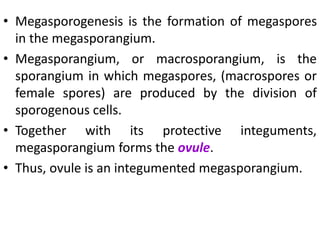 • Megasporogenesis is the formation of megaspores
in the megasporangium.
• Megasporangium, or macrosporangium, is the
sporangium in which megaspores, (macrospores or
female spores) are produced by the division of
sporogenous cells.
• Together with its protective integuments,
megasporangium forms the ovule.
• Thus, ovule is an integumented megasporangium.
 